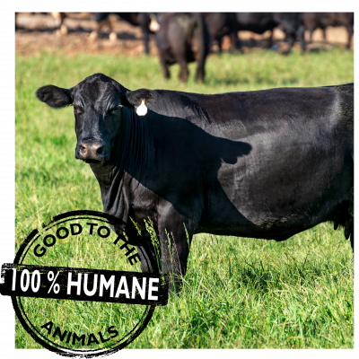 stamp photos updated-02